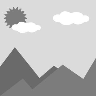 30-25-30-滌綸長(cháng)絲-滌綸長(cháng)絲-聚氨酯森(sēn)林(lín)高(gāo)壓水(shuǐ)帶（委托檢驗）